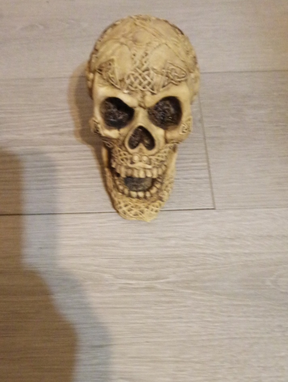 Decorative Carved Skull Wall Accent - Ivory
